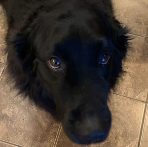 Meet your Posher, Jodi